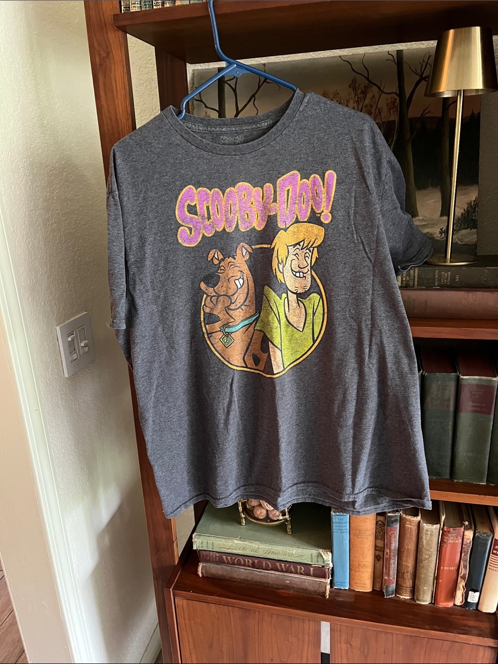 Scooby-Doo Graphic Short Sleeve Tee - Gray